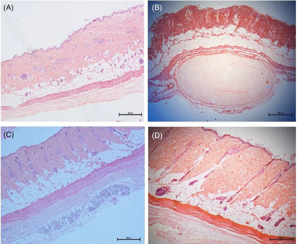FIGURE 4