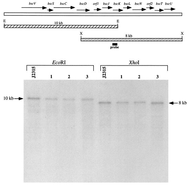 FIG. 6.