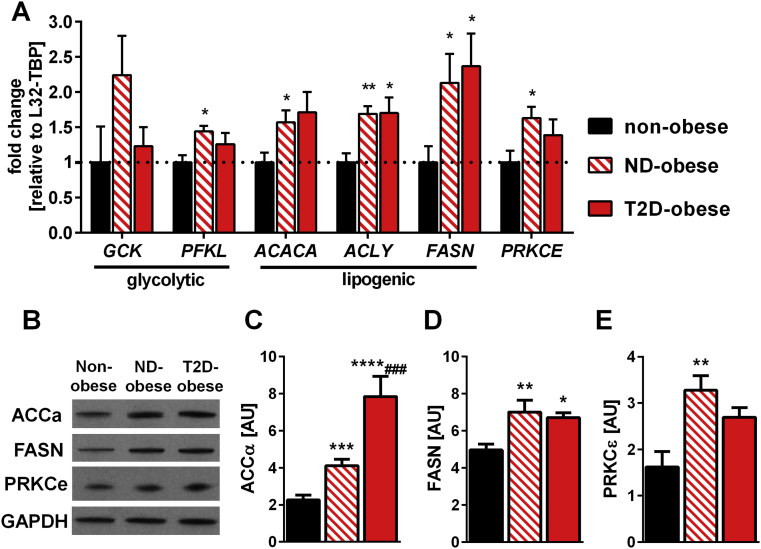 Figure 5