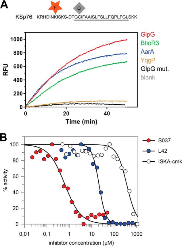 FIGURE 5.