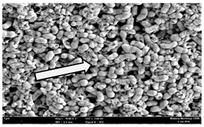 graphic file with name molecules-22-02135-i025.jpg