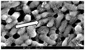 graphic file with name molecules-22-02135-i020.jpg