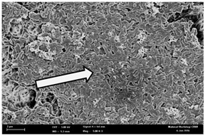 graphic file with name molecules-22-02135-i028.jpg