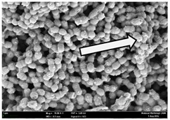 graphic file with name molecules-22-02135-i015.jpg