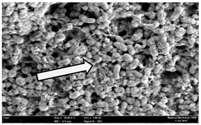 graphic file with name molecules-22-02135-i023.jpg