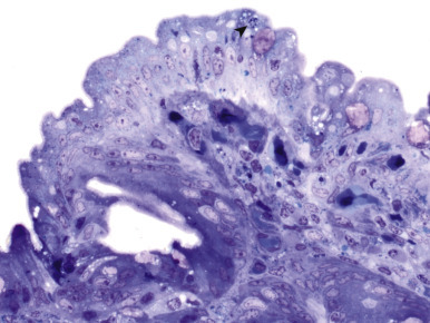 Figure 9-26.
