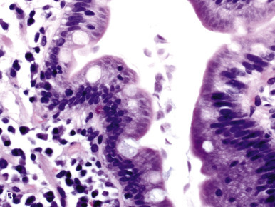 Figure 9-25.