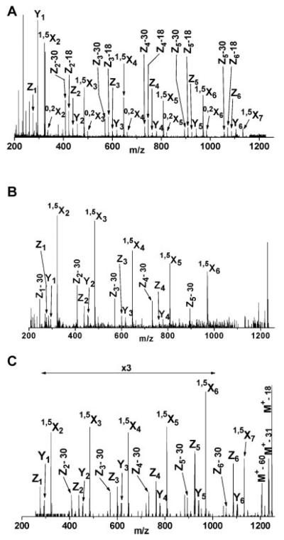 FIGURE 12