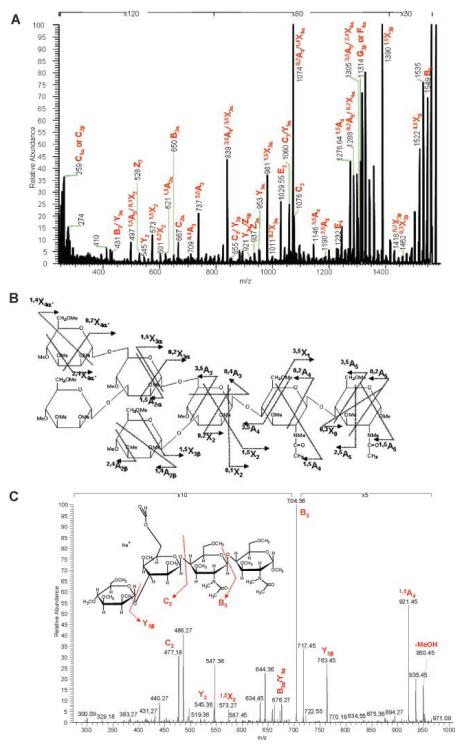 FIGURE 13