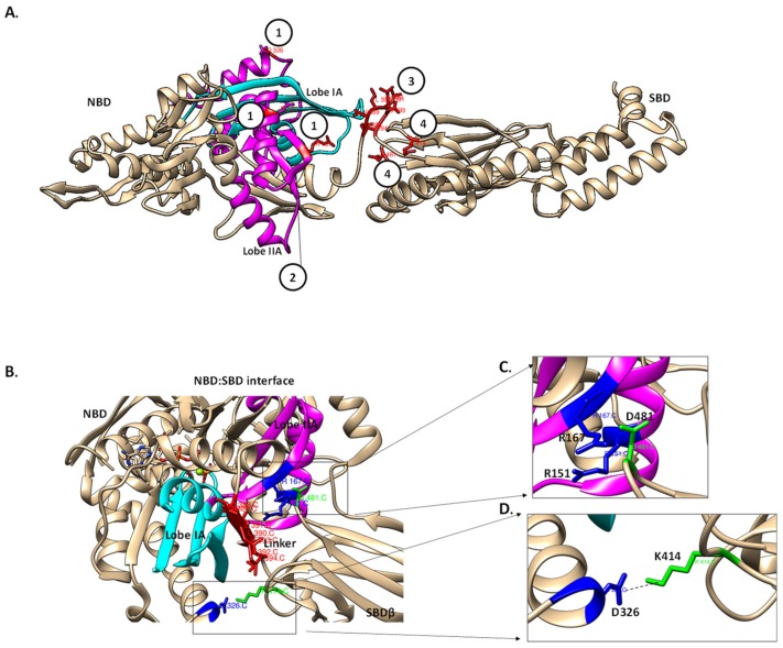 Figure 7