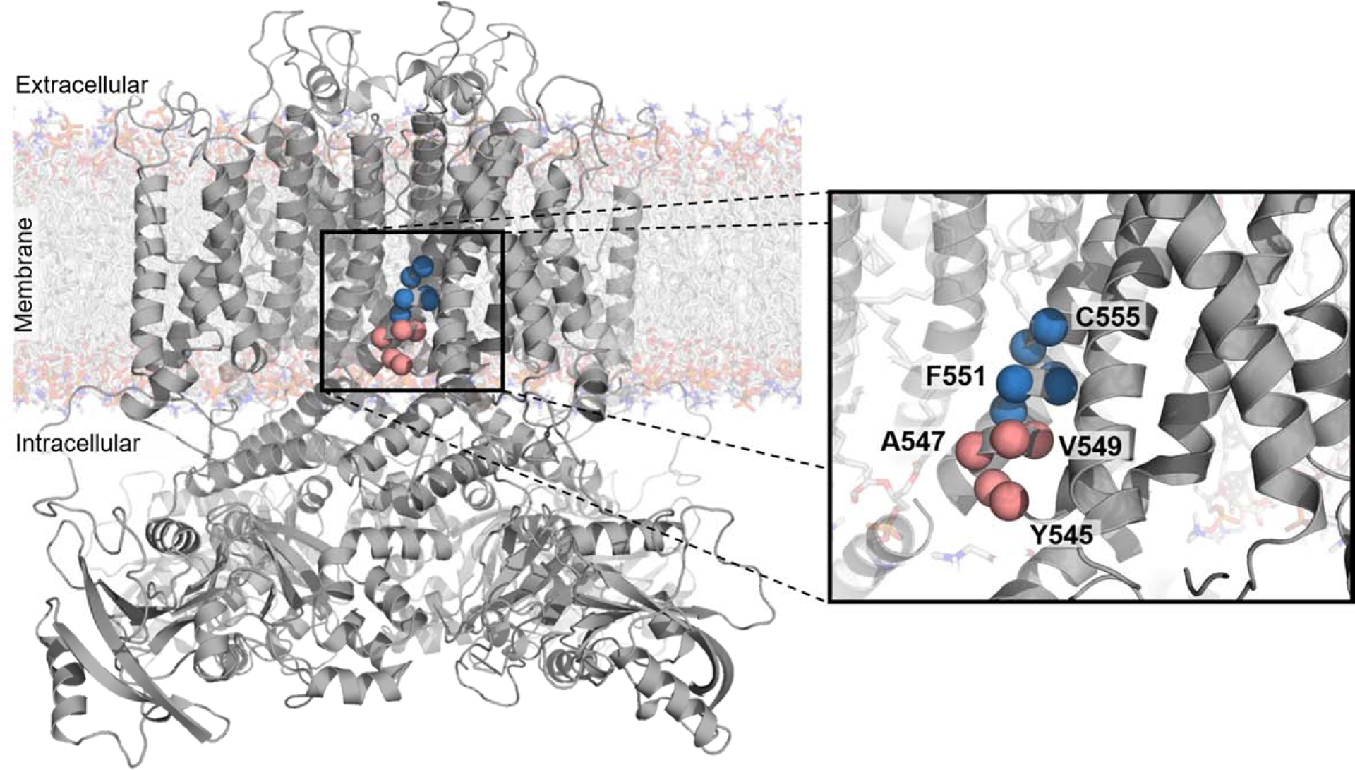 Figure 4.