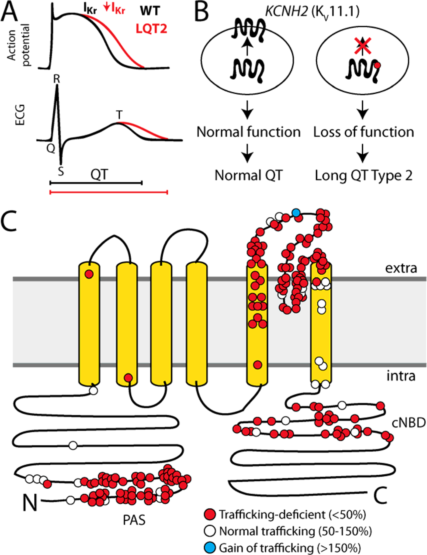 Figure 1: