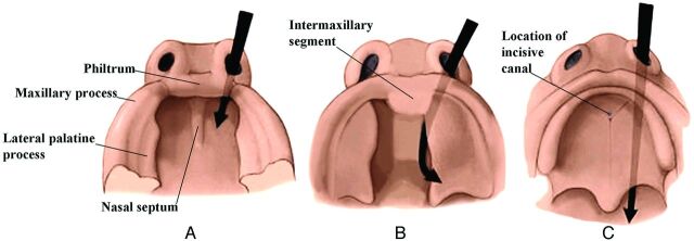 Fig 1.