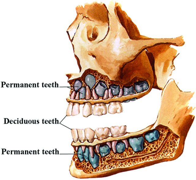 Fig 4.