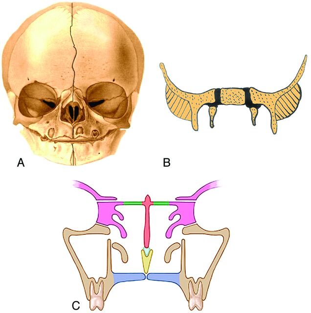 Fig 10.