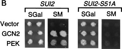 FIG. 9