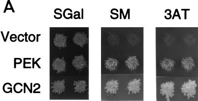 FIG. 9