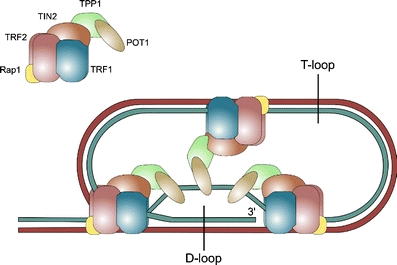Fig. 2