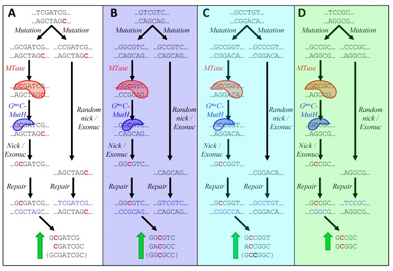 Figure 6