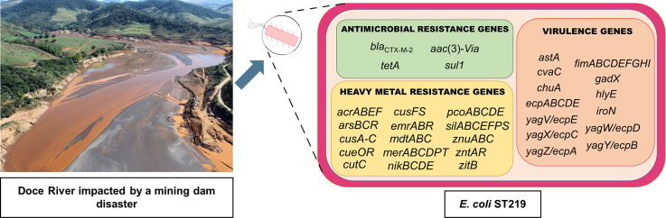 Unlabelled Image