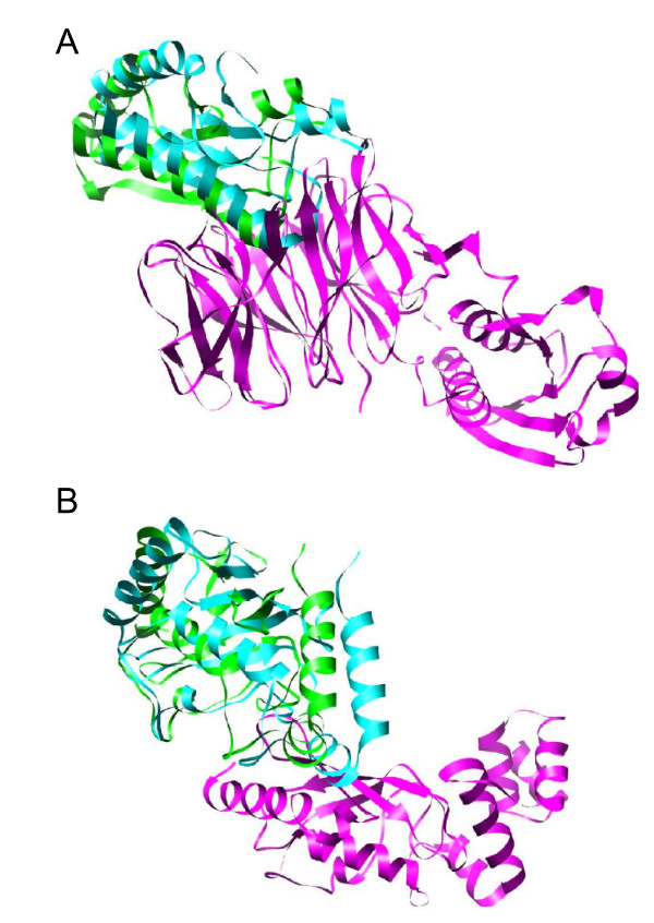 Figure 8