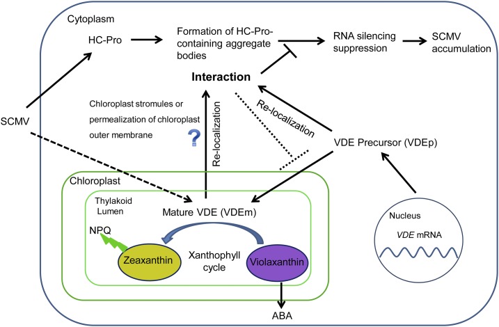 Figure 10.