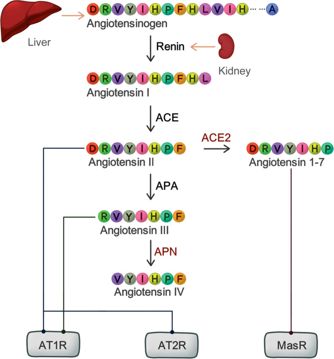 Fig. 1