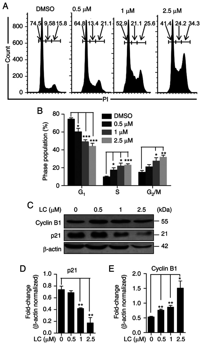 Figure 5.