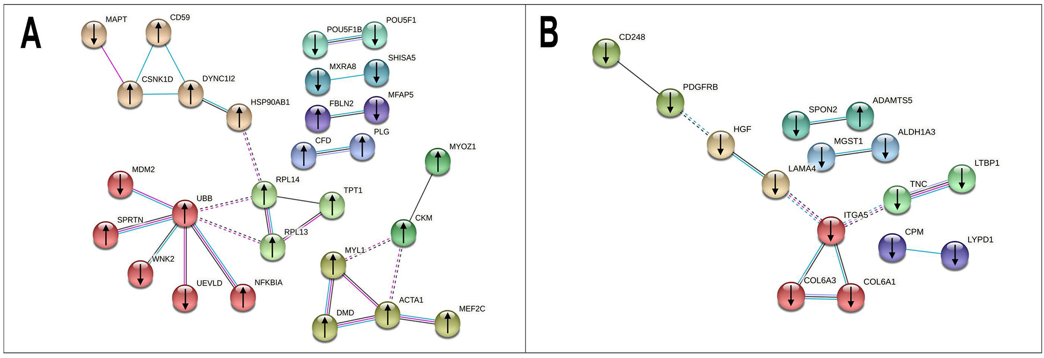 Figure 3: