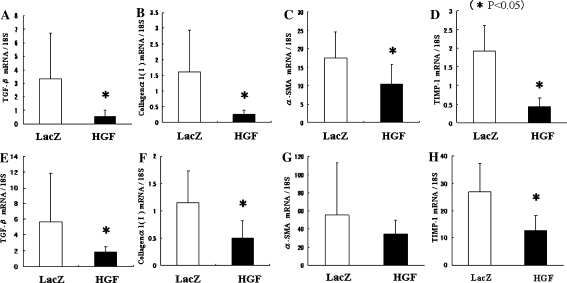 Fig. 6