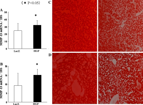 Fig. 7