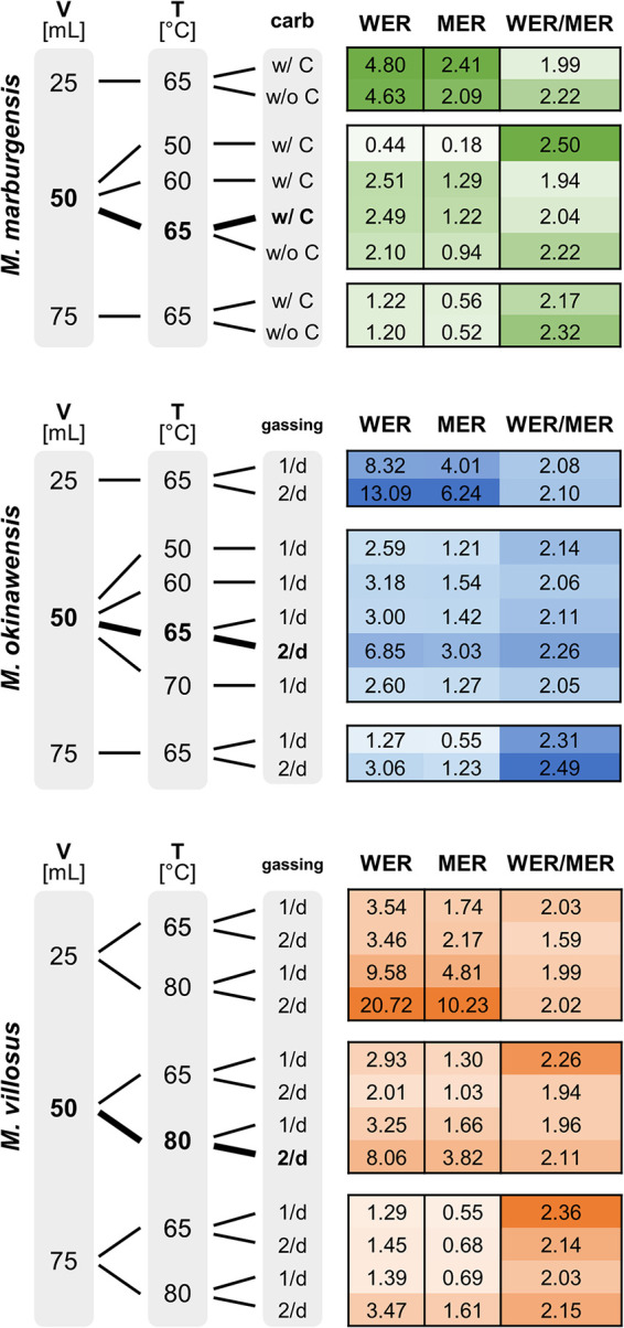 FIG 3