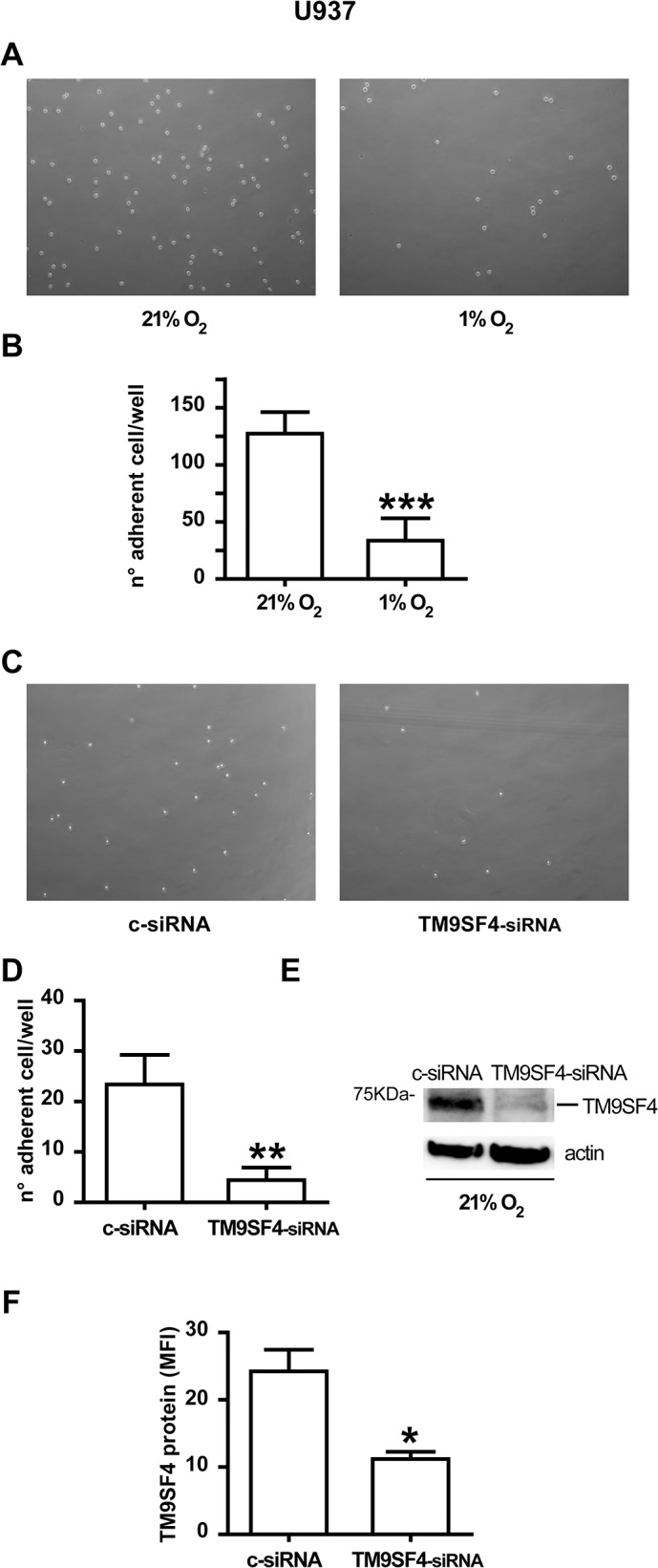 Fig 8