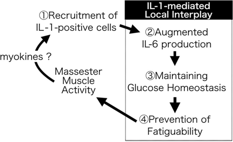 Fig 7