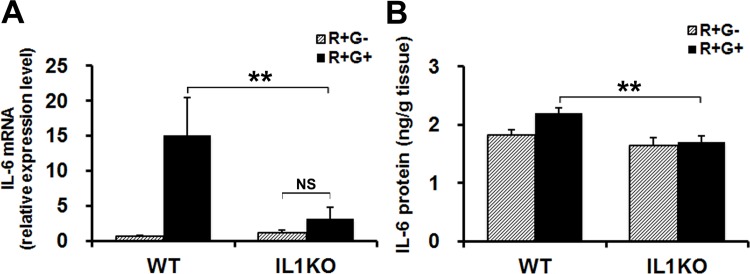 Fig 5