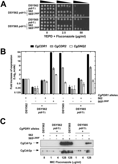 Figure 5