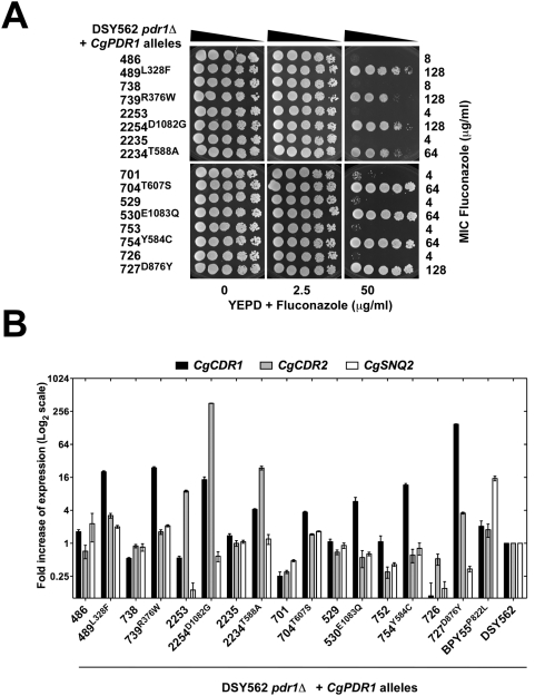 Figure 6