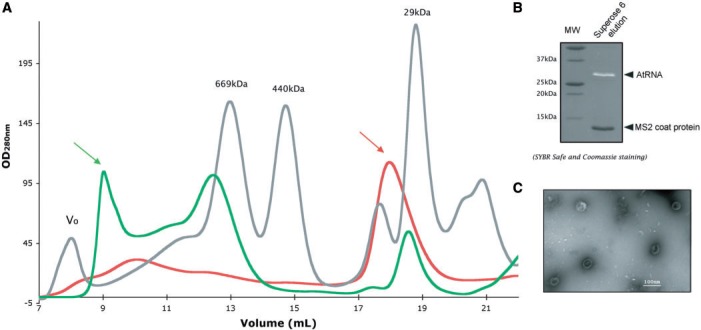 Figure 3.