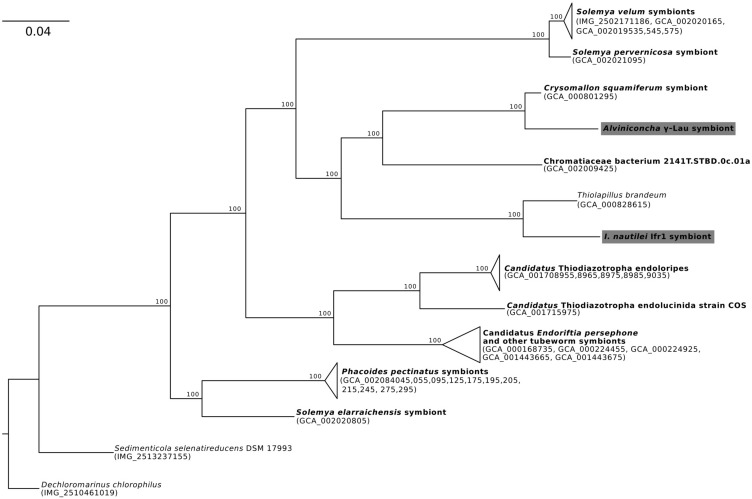 FIGURE 1