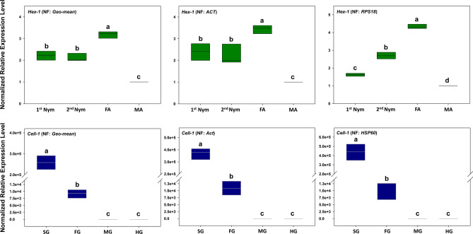 Figure 6