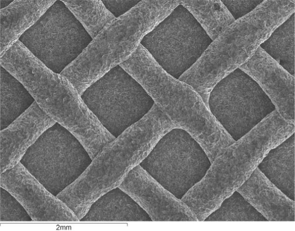 Figure 1. . Scanning electron micrograph of bracket base of a new bracket (control group). Original magnification 100×.