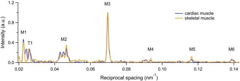 Fig. S3.