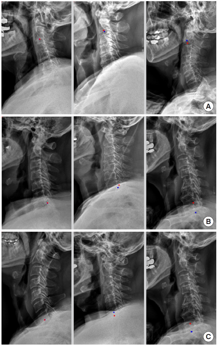 Fig. 3.