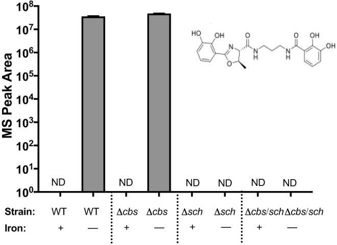 FIG 4