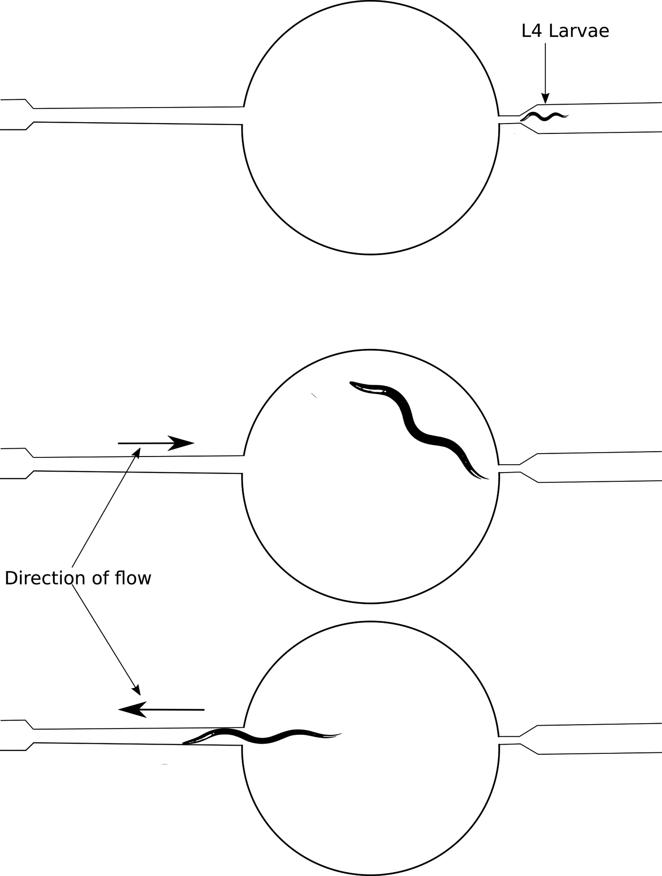 Fig. 3: