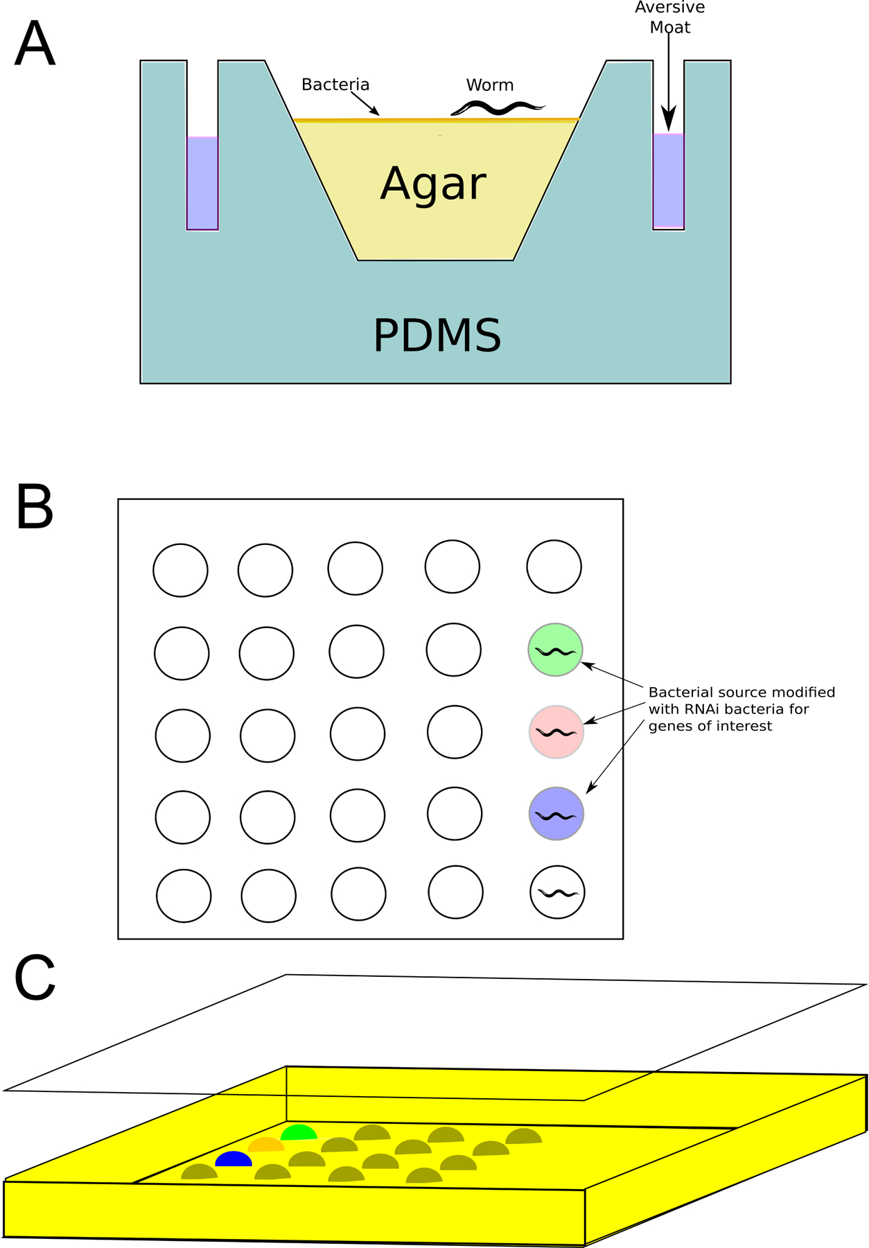 Fig 2: