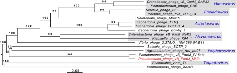 FIGURE 12