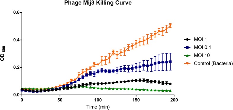 FIGURE 3