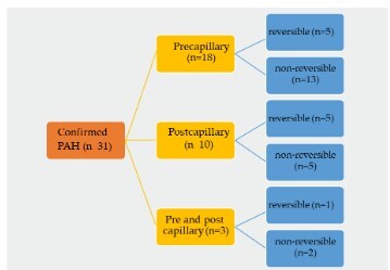 
Figure 5. Patients’ classification according to ESC guidelines
