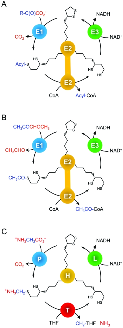 FIG. 2.